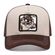 1 件华纳兄弟卡通刺绣棒球帽，户外运动活动网眼棒球帽，街头服饰