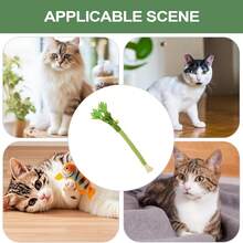 1pc Realistic Celery & Silvervine Cat Toy With Bell, Durable Chew Toy For Pets