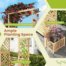 Lifezeal Patio Garden Bench Arbor Arch With Pergola Planting Box Side Trellis For Vines - 自然的 - 查看 3