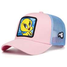 1 件华纳兄弟卡通刺绣棒球帽，户外运动活动网眼棒球帽，街头服饰