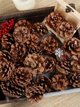 20/10个天然松果，无异味，天然松果工艺装饰DIY装饰 - 非常适合感恩节装饰、秋季派对家居装饰、婚礼装饰、最佳礼物、圣诞装饰、房间装饰、冬季圣诞装饰、家居圣诞礼物、圣诞装饰