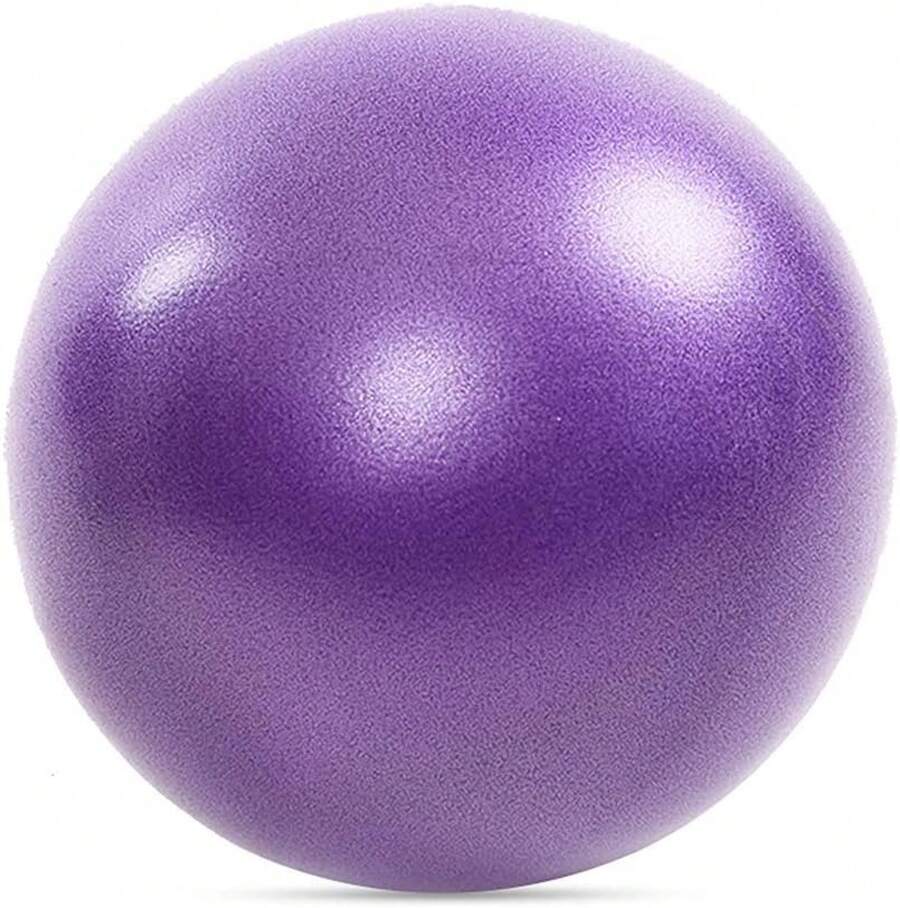 Small Pilates Ball 9 Inch Small Exercise Ball Workout Yoga Balls Gym ...