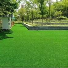 نجيلة اصطناعية، سهلة التنظيف، سجادة نجيلة اصطناعية عالية الجودة، مناسبة للحدائق الداخلية/الخارجية، ديكور الملاعب، صديقة للحيوانات الأليفة، نجيلة اصطناعية للشرفة والفناء