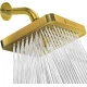 ‎Oro egipcio - 6" Square