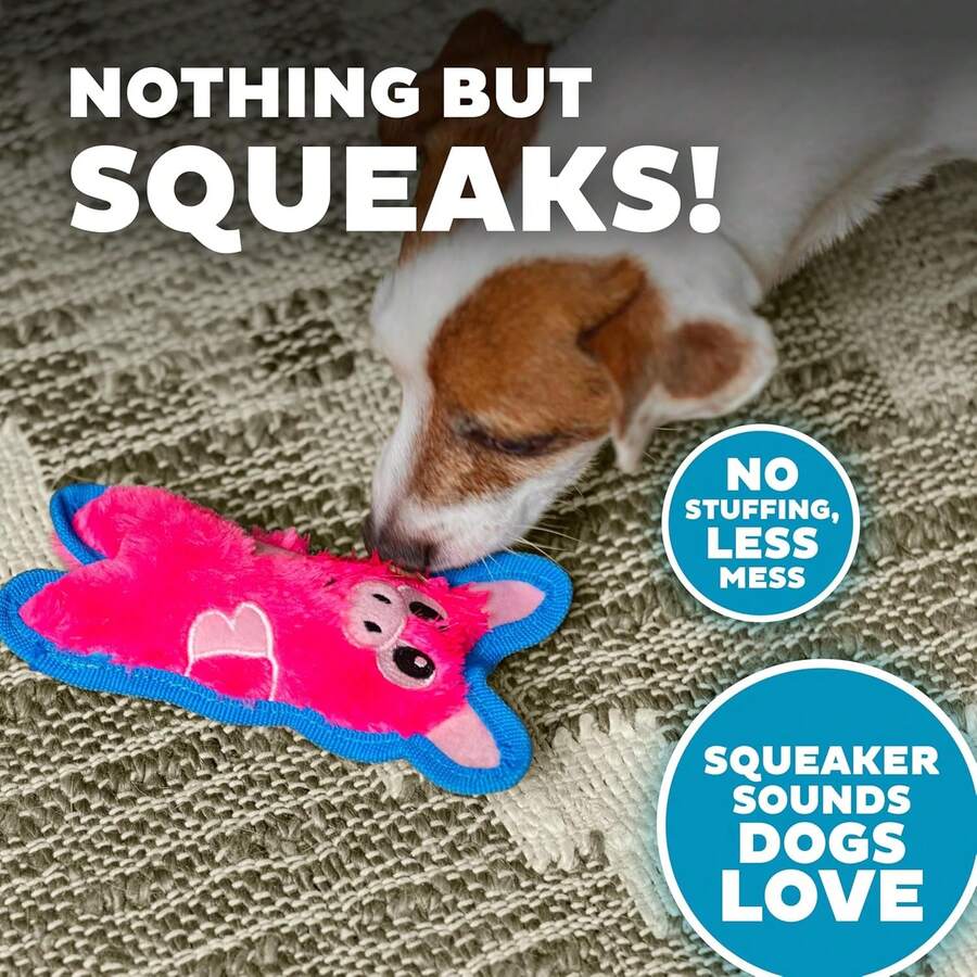 Outward Hound Durablez Minis Plush Squeaky Dog Toy - Stuffing-Free For Minimal Mess, Interactive & Durable, Jumbo Squeaker, Ideal For Puppies & Small Breeds, Pig Design, 6.8 Inches - Pink - View 1