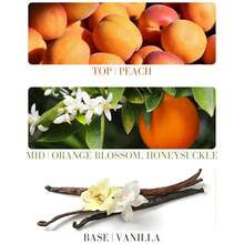 Unisex White Peach Perfume - Suitable For Every Occasion, Fresh And Long-Lasting, Free Of Alcohol And Mineral Oils, Infused With Jojoba, Argan And Coconut Oils - 粉色 - 查看 6