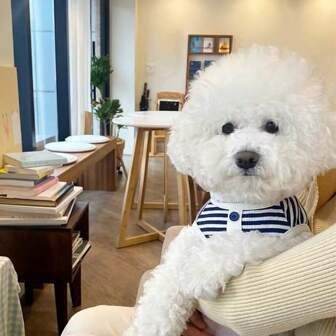 Simple Striped Spring/Summer Puppy Dog Knit Vest Teddy Bichon Bear Small And Medium-Sized Dog Cat Two-Legged Pet Clothes