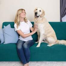 AMOROSA Juego De 3 Fundas Elásticas Para Sofá (1 Plaza, 2 Plazas, 3 Plazas) Cubre Sillones Para Sala Cobertura Completa Antideslizante Lavable Cómoda Y Ajustable Para Salas Para Casa - Verde oscuro - Ver 4