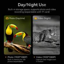 Binoculares de visión nocturna infrarroja HD 1080P con pantalla IPS de 2.8", zoom digital 10X y alcance de 800m - Lente de 50mm, recargable 2000mAh, captura de fotos/video para caza, camping, patrullaje de (Negro), Binoculares para caza