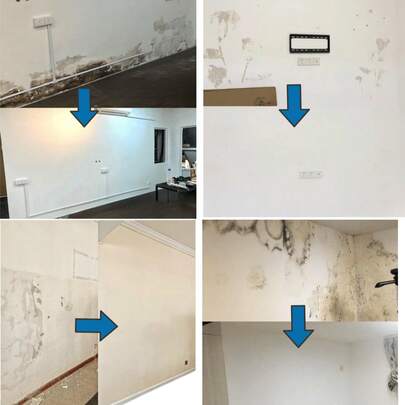 JUE FISH 橙色墙面漆，附赠大滚筒，水性乳胶漆；白色水性乳胶墙面修补清洁漆，适用于家庭使用；墙面污渍翻新；适合作为节日、情人节或开学季的礼物赠送亲朋好友（新旧款随机发货）