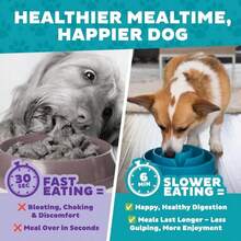 Outward Hound Fun Feeder Slo Bowl, Medium Slow Feeder Dog Bowl, 2 Cups, Turquoise - ColorH - View 8