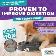 Outward Hound Fun Feeder Slo Bowl, Medium Slow Feeder Dog Bowl, 2 Cups, Turquoise