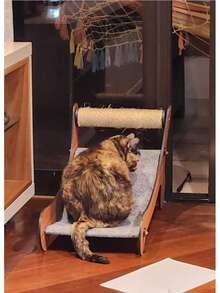 Pet Bed With Scratching Post And Interactive Hanging Hammock For Cats - 橘色 - 查看 6