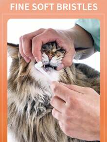 Bộ 1 bàn chải và kem đánh răng cho thú cưng - Bàn chải đánh răng cho mèo với 10.000 lần chải, Chăm sóc răng miệng cho chó - Kem đánh răng cho thú cưng. Duy trì sức khỏe răng miệng cho thú cưng, Ngăn ngừa hôi miệng, Tăng cường mối liên kết giữa thú cưng và chủ. Thích hợp cho việc vệ sinh răng miệng hàng ngày cho mèo và chó. Hương vị cũng được thú cưng yêu thích. Ngăn ngừa căng thẳng và sự bất hợp tác của thú cưng. - Nhiều màu - Xem 3