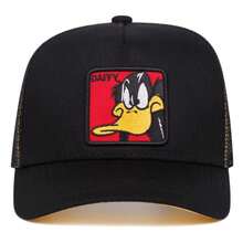 1 件华纳兄弟卡通刺绣棒球帽，户外运动活动网眼棒球帽，街头服饰