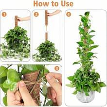1 pezzo Pali flessibili in muschio per piante, piante di Monstera, supporto per piante rampicanti, piante da appartamento, per piante in vaso, rastrelliere di supporto