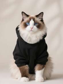 1pc Black Pet Sweatshirt, Warm For Winter, Suitable For Teddy, Poodle, Puppy, Small Dogs, Cats, Autumn/Winter Pet Casual Hoodie, Anti-Shedding - Black - View 5