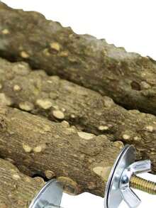 2/3/5 Pcs Bird Perch 10 Cm Natural Thorn Wood Parrot Claw Grinding Stick Cage Platform Toy Cage Accessories Suitable For Tiger Parrots, Long-Tailed Parrots, Cockatoos, Lovebirds