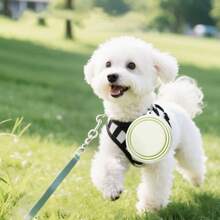 Tazón plegable para mascotas de color aleatorio, fácil de transportar, tazón de silicona para gatos/perros con mosquetón, capacidad total de 2, perfecto para senderismo y caminatas