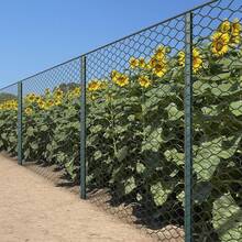 5 Pack Metal Fence Post, 7 Feet Heavy Duty Garden With U-Post, No Dig Garden Fence Stakes For Temporary Fencing, Corner Anchor - 綠色 - 查看 8