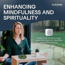 22/40/80 piezas Incienso en espiral con fragancia natural de pomelo, tiempo de quemado de 3-4 horas, adecuado para meditación, relajación, estudio de yoga, esencial para el hogar, mejor vendedor transfronterizo, compatible con entrega de una sola pieza