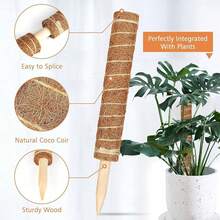 1 pezzo Pali flessibili in muschio per piante, piante di Monstera, supporto per piante rampicanti, piante da appartamento, per piante in vaso, rastrelliere di supporto