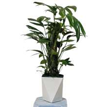 Vaso da fiori in plastica a forma di diamante, bianco spesso, per piante verdi e fiori da interno, vaso semplice per la decorazione del soggiorno