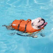 Outward Hound Granby Splash Dog Life, High-Buoyancy Dog Life Vest Swimming, Boating, And Safety, Large, Orange - Đỏ - Xem 11