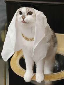 1pc Pet Headband Hat, Handmade Sun Protection & Wind Proof Headwear For Cats & Dogs - Multicolor - View 4