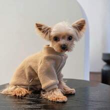 冬季宠物毛衣，适合狗狗、猫咪、布偶猫、斯芬克斯猫、德文卷毛猫、中小型宠物的保暖衣服，室内服装 - 杏色 - 查看 5