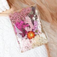Dried Flowers Bundles Forget Me Not With Stems Natural Dried Flowers Purple Pink And White Preserved Dried Flowers Bouquet For Floral Arrangements Wedding Party DIY Resin Vase Home Decoration Halloween Thanksgiving Gifts Birthday Graduation,Fall Decor,Autumn - Baby Pink - View 12