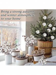 30 件人造棉花仿古棉茎农舍装饰假秋季花瓶填充物白色干燥植物装饰适用于家庭婚礼派对厨房 DIY 插花、圣诞节、新年、万圣节装饰 - 彩色 - 查看 2