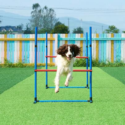 Equipo de entrenamiento de agilidad para perros, juego de 7 piezas mejorado con vallas altas ajustables, 6 postes de tejido, 2 túneles, aro de salto, caja de pausa, 3 Disco para lanzar, silbato, cuenco plegable, kit de carrera de obstáculos para cachorros con 3 bolsas