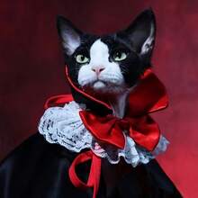 宠物万圣节吸血鬼披风Cosplay猫披风狗狗披风猫狗衣服宠物用品万圣节万圣节服装