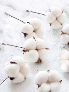 30 件人造棉花仿古棉茎农舍装饰假秋季花瓶填充物白色干燥植物装饰适用于家庭婚礼派对厨房 DIY 插花、圣诞节、新年、万圣节装饰 - 彩色 - 查看 9