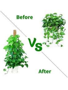 1/2/4pcs Stackable Moss Poles, Suitable For Pothos And Climbing Plants - Multiple Sizes Available, Natural Coconut Fiber Material Great For Home, Office, Garden Planters Coconut Fiber Totem Plant Support, Light Brown, Indoor Potted Plants, Moss - Multicolor - View 6