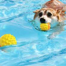 Dog Toys Outdoor Durable Squeaky Pumpkin Ball & Chew Toy For Training, Fetch, Biting - Squeaker Sounds For Fun Play