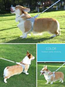 可调节反光狗背带牵引绳，适合中型和大型犬 - 彩色 - 查看 6