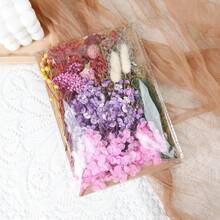 干花束勿忘我带茎天然干花紫粉色和白色永生干花花束用于插花婚礼派对 DIY 树脂花瓶家居装饰万圣节感恩节圣诞节