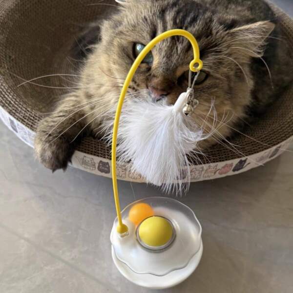 Self-Entertaining Feather Wand Cat Toy, Kitten Bite Rope, Cat, Spinning Track Ball (The Actual Size Is Slightly Smaller Than The Picture, But The Dimensions Are Accurate)