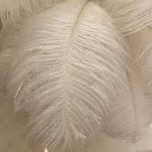 1pc USB Powered Feather Shaped Desk Lamp With Adjustable 3-Color LED Light. Can Be Used As DIY Decorative Lamp, Suitable For Bedside, Desk, Dining Room Lighting, Small Night Light, Romantic Wedding Atmosphere Lighting. European Style. Suitable For Bedroom, Living Room, Office Home Decor. Wedding Lighting. Valentine's Day Gift. - USB Powered - View 12