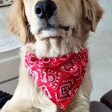 1pc Adjustable Printed PU Triangle Pet Bib For Medium-Sized Dogs Including Leash Hook - Blue - View 10