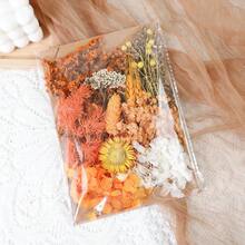 Dried Flowers Bundles Forget Me Not With Stems Natural Dried Flowers Purple Pink And White Preserved Dried Flowers Bouquet For Floral Arrangements Wedding Party DIY Resin Vase Home Decoration Halloween Thanksgiving Gifts Birthday Graduation,Fall Decor,Autumn - Baby Pink - View 17