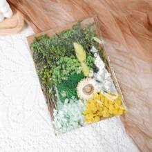 Dried Flowers Bundles Forget Me Not With Stems Natural Dried Flowers Purple Pink And White Preserved Dried Flowers Bouquet For Floral Arrangements Wedding Party DIY Resin Vase Home Decoration Halloween Thanksgiving Gifts Birthday Graduation,Fall Decor,Autumn - Baby Pink - View 13