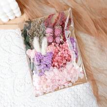 Dried Flowers Bundles Forget Me Not With Stems Natural Dried Flowers Purple Pink And White Preserved Dried Flowers Bouquet For Floral Arrangements Wedding Party DIY Resin Vase Home Decoration Halloween Thanksgiving Gifts Birthday Graduation,Fall Decor,Autumn - Baby Pink - View 27