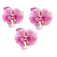 4 件套夏威夷花发夹，适合女士，4 件人造花发夹，芙蓉花和莲花发夹，适合度假、海滩派对、夏季热带花卉发饰，送给女孩的理想礼物