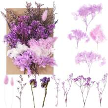 干花束勿忘我带茎天然干花紫粉色和白色永生干花花束用于插花婚礼派对 DIY 树脂花瓶家居装饰万圣节感恩节圣诞节