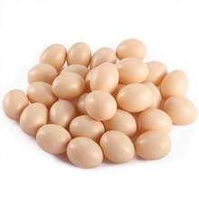 6/10/12pcs Realistic Artificial Chicken Eggs, Farm Animal Supplies, Nest Accessories, Decorative Eggs
