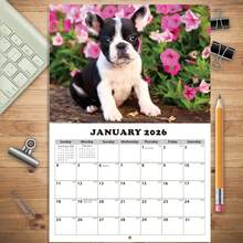 2026-2027 狗狗挂历 - 13 个月月度计划表（2026 年 1 月至 2027 年 1 月），11.3x8.5 英寸，周日开始 | 包含节假日、过去和未来月份 | 大型倒计时每日区块 | 预先打孔，方便悬挂 | 厚纸，适合家庭或办公室使用 - 2026-2027 Dog Wall Calendar - 查看 9