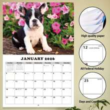 2026-2027 狗狗挂历 - 13 个月月度计划表（2026 年 1 月至 2027 年 1 月），11.3x8.5 英寸，周日开始 | 包含节假日、过去和未来月份 | 大型倒计时每日区块 | 预先打孔，方便悬挂 | 厚纸，适合家庭或办公室使用 - 2026-2027 Dog Wall Calendar - 查看 6